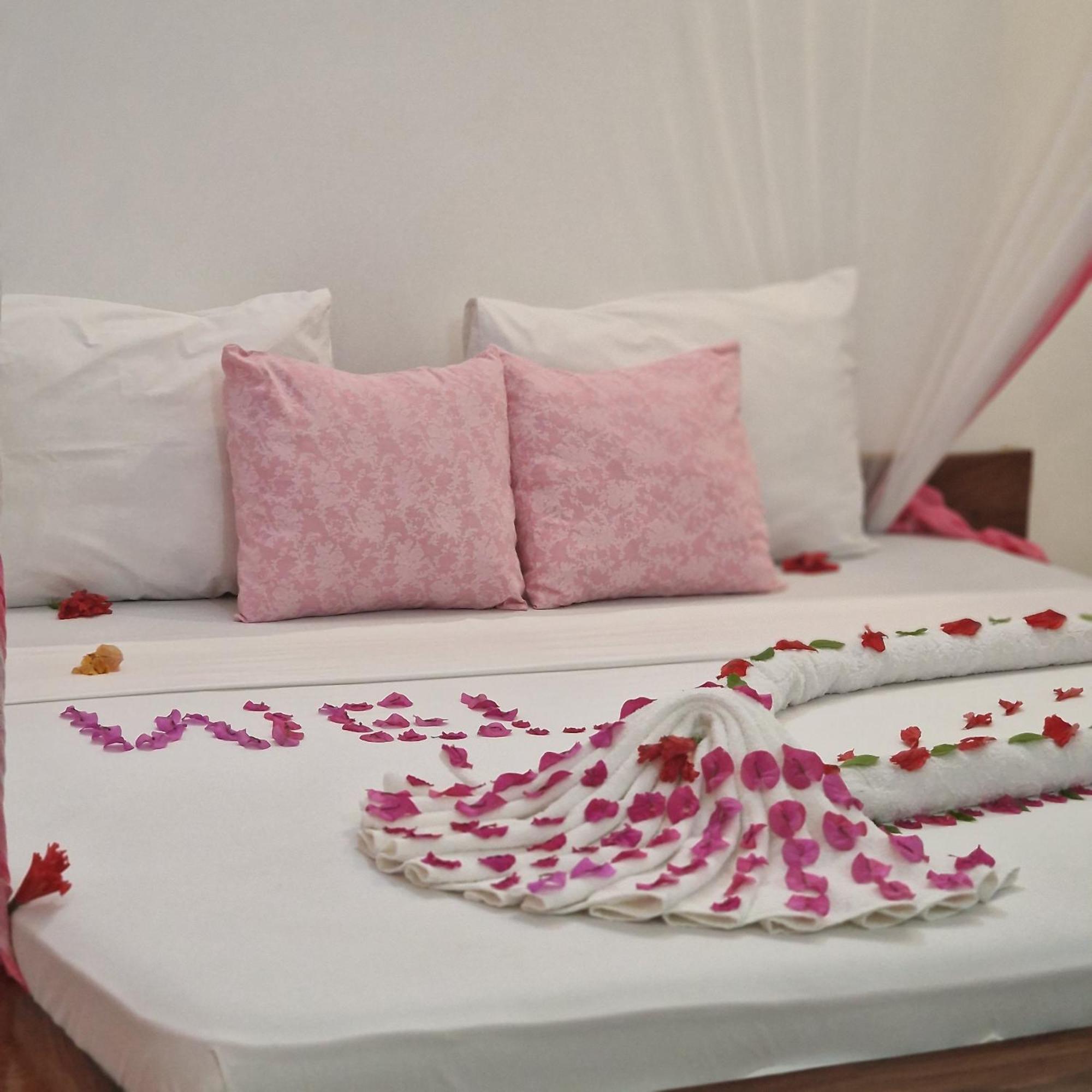 Tiande Boutique Hotel 프와니 음찬가니 외부 사진